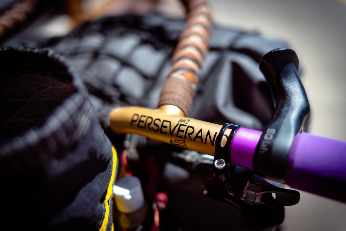 WREN Perseverance Adventure Flatbar