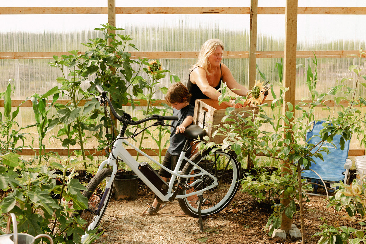 Surface 604 Sunny Day Low Step 500-Watt Cruiser eBike being loaded with plants.
