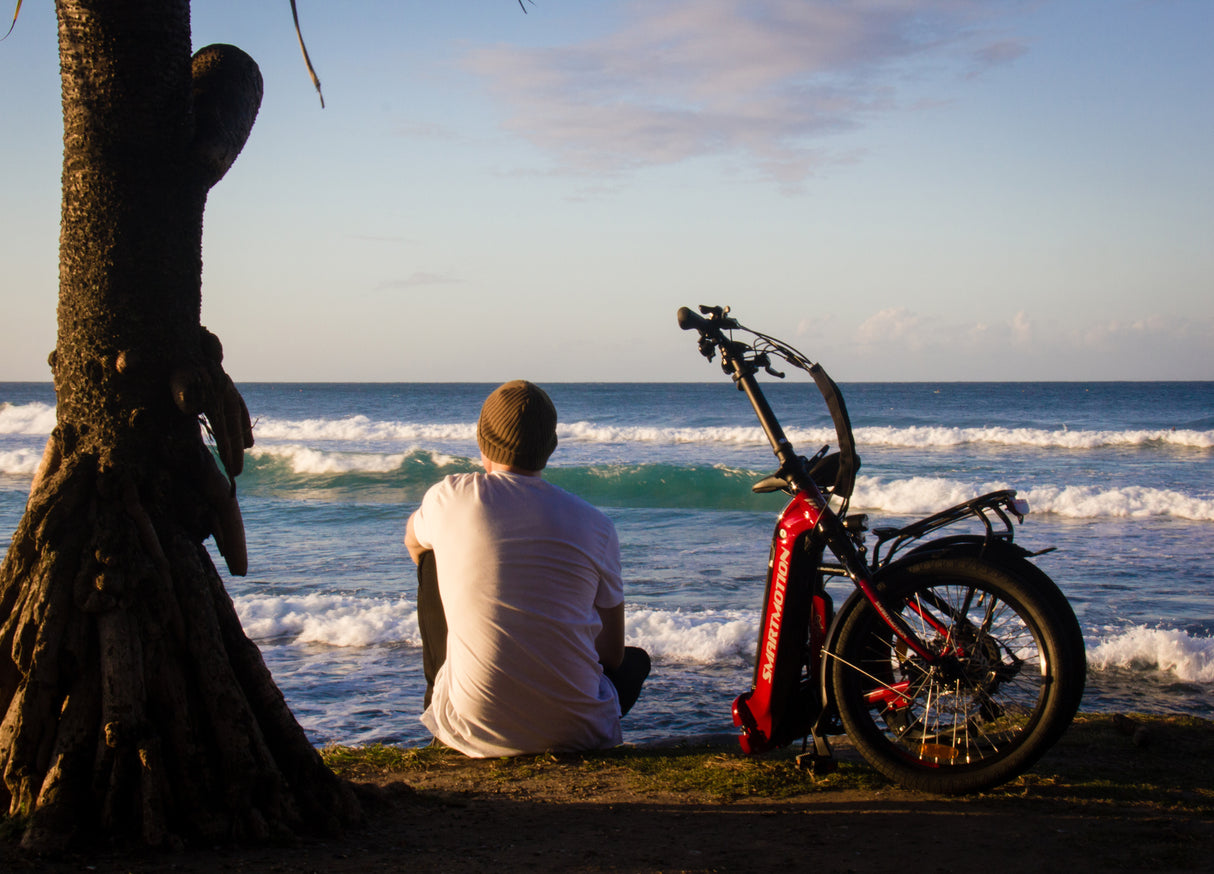 Smartmotion E20 Low Step 250W Folding