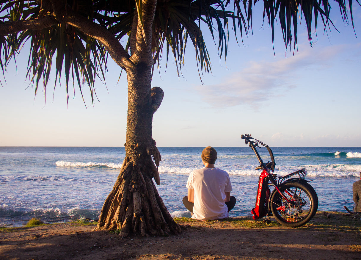 Smartmotion E20 Low Step 250W Folding