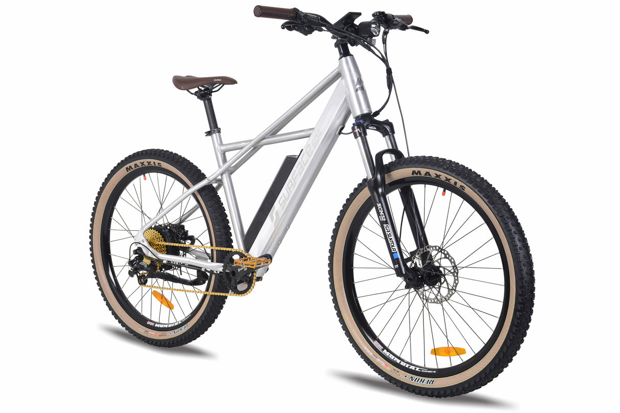 Surface 604 Quad Hardtail eMTB
