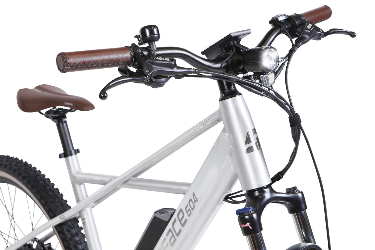 Surface 604 Quad Hardtail eMTB