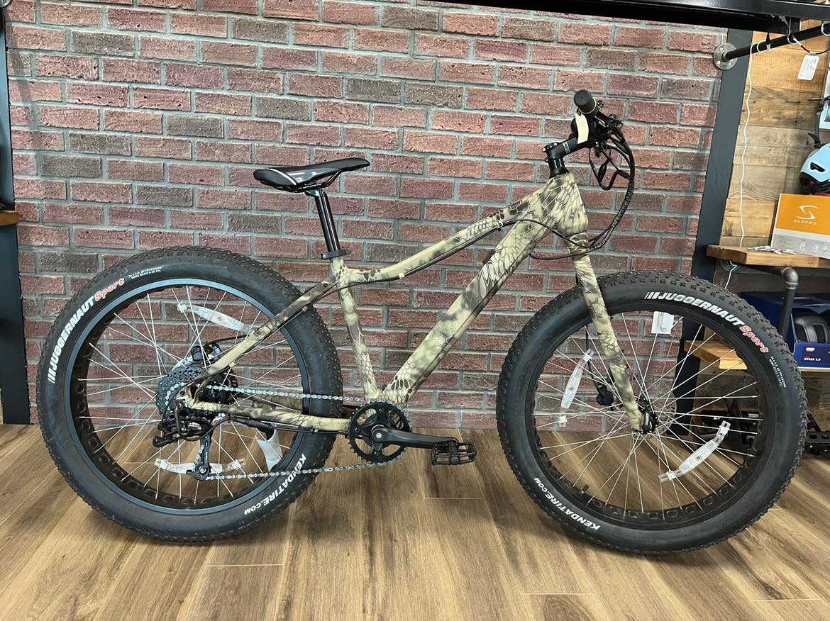 E fat bike 2018 online