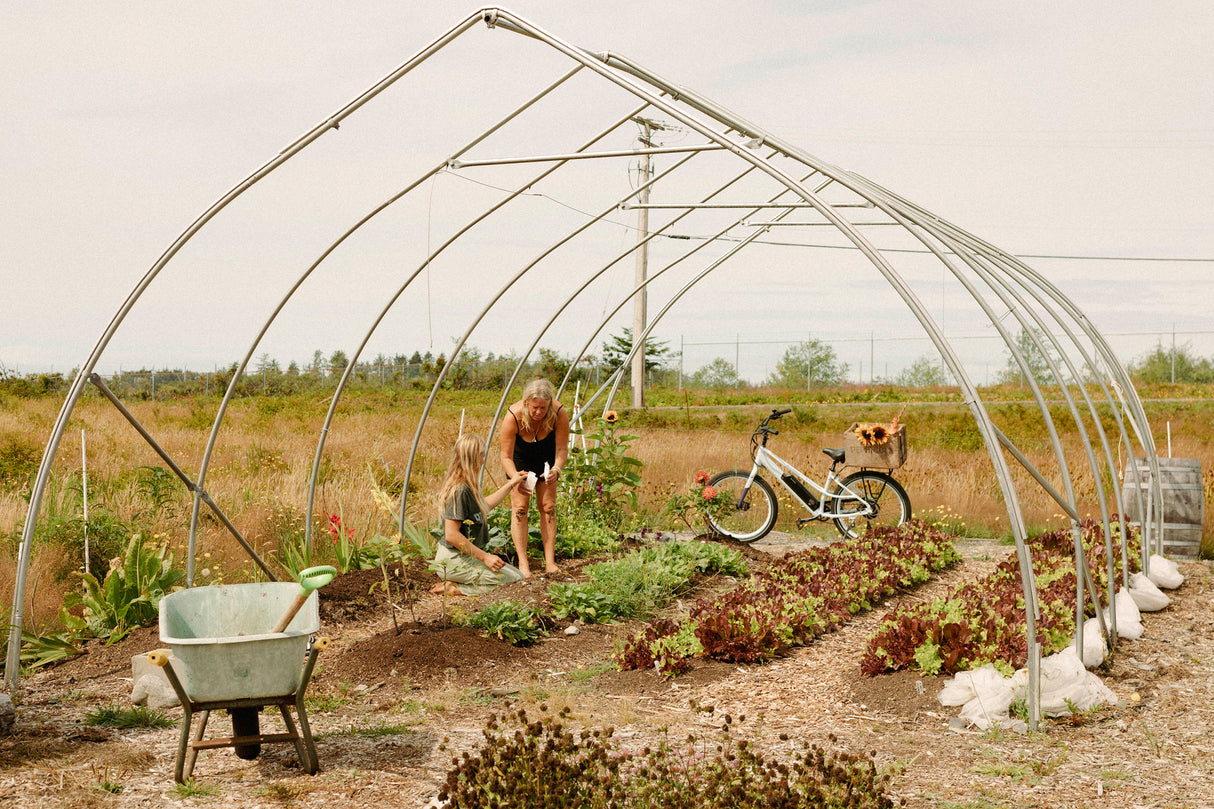 Surface 604 Sunny Day Low Step 500-Watt Cruiser eBike behind a framed green house.