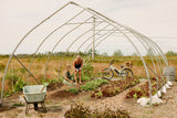 Surface 604 Sunny Day Low Step 500-Watt Cruiser eBike behind a framed green house.