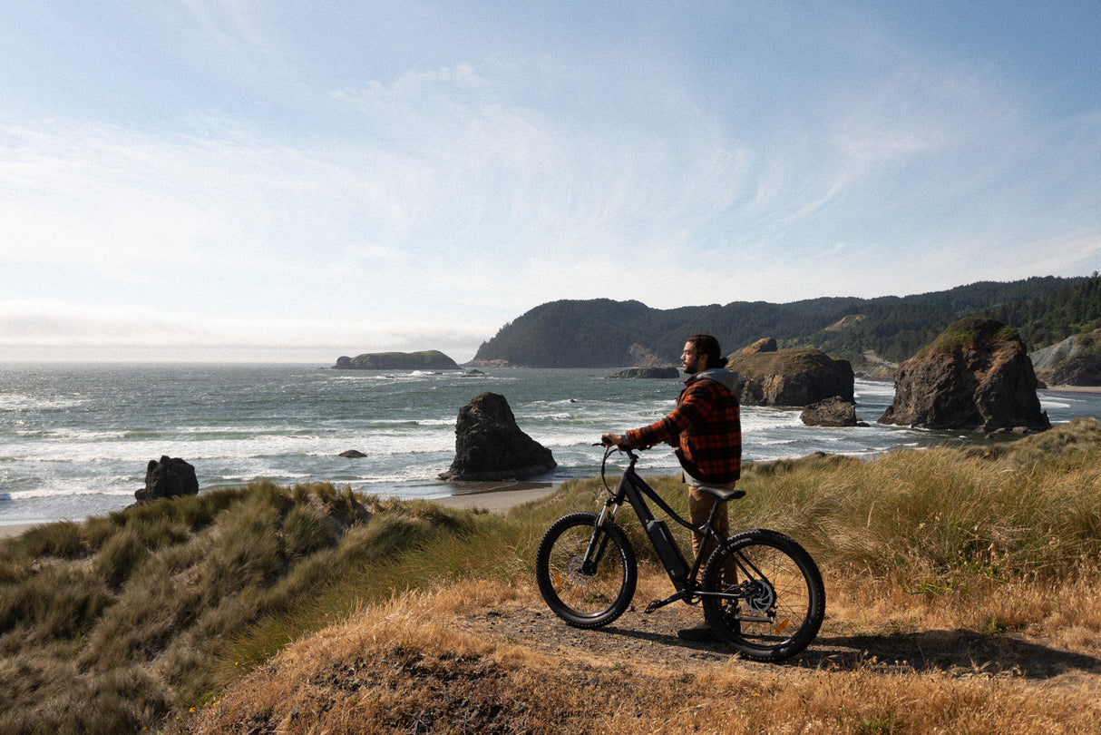Surface 604 Shred Hardtail eMTB overlooking scenic beach.