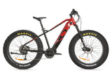 iGO - Outland - Torngat RS - Mid Drive Fat Bike